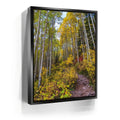 Featured image 5 for Path of the Aspens
