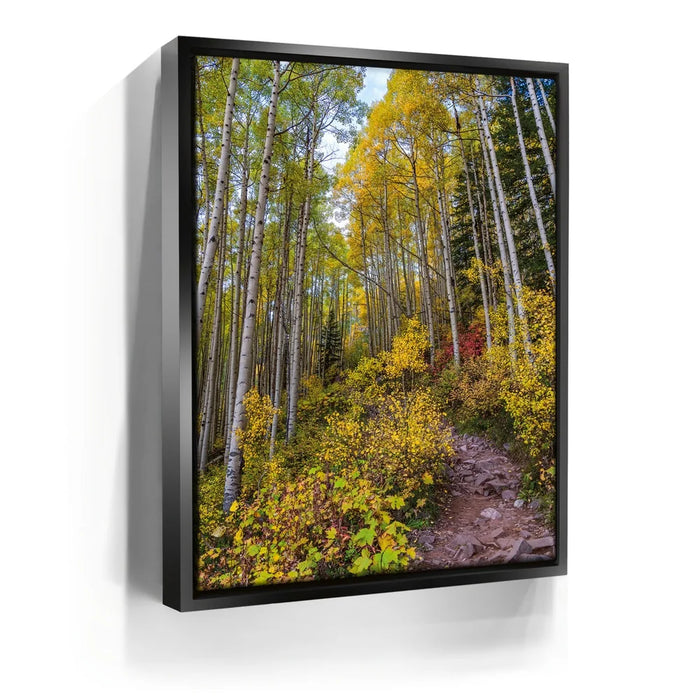 Featured image 5 for Path of the Aspens