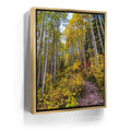 Featured image 7 for Path of the Aspens