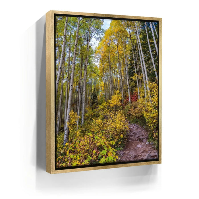 Featured image 7 for Path of the Aspens