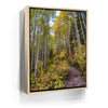 Featured image 9 for Path of the Aspens
