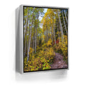 Featured image 8 for Path of the Aspens