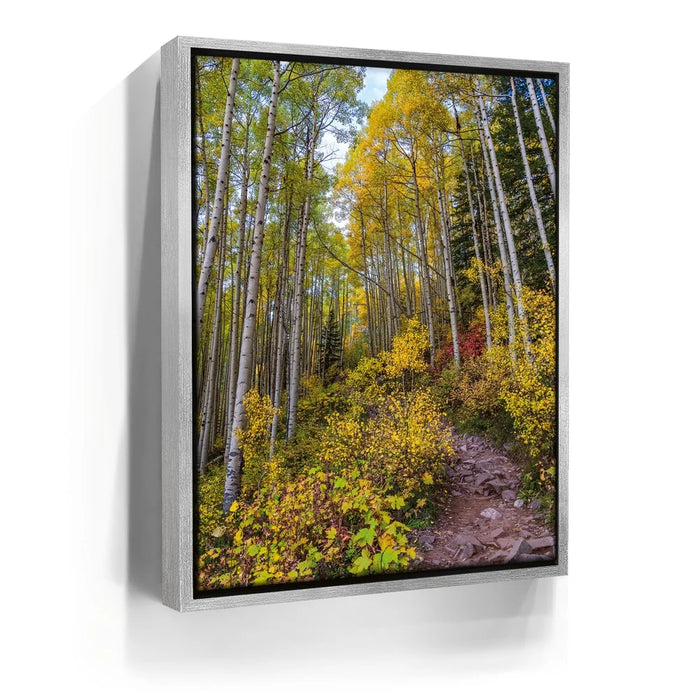 Featured image 8 for Path of the Aspens