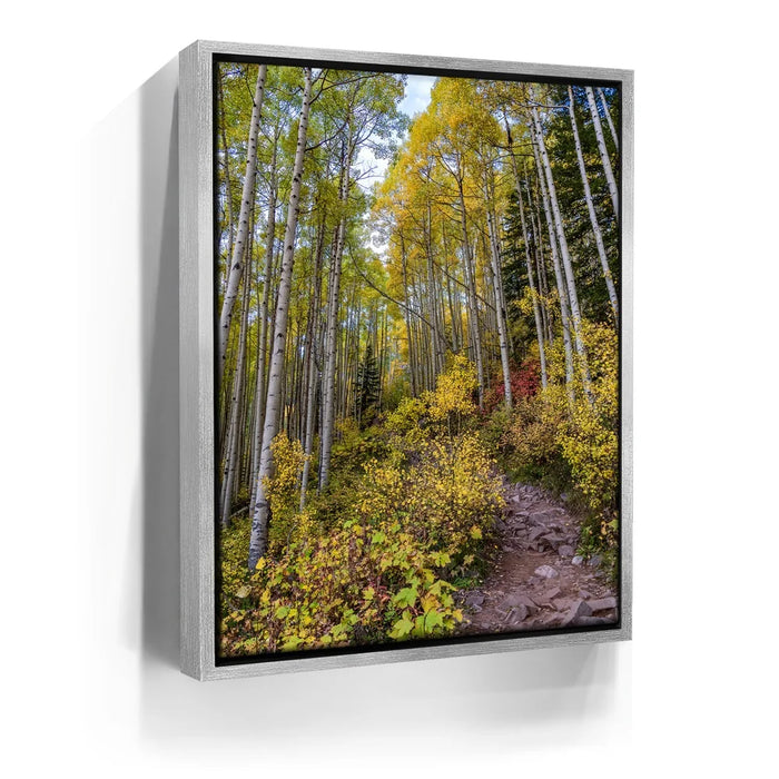 Featured image 8 for Path of the Aspens
