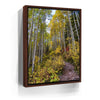 Featured image 10 for Path of the Aspens