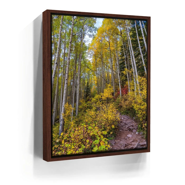 Featured image 10 for Path of the Aspens