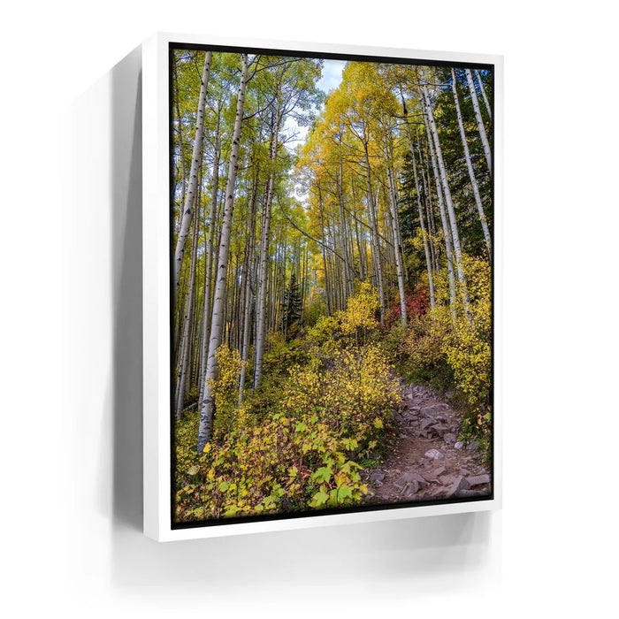 Featured image 6 for Path of the Aspens