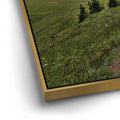 Thumbnail image 13 for Path Through the Dolomites