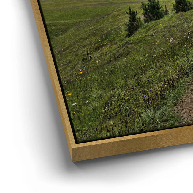 Featured image 13 for Path Through the Dolomites
