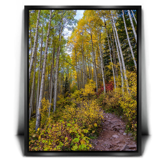 Path of the Aspens