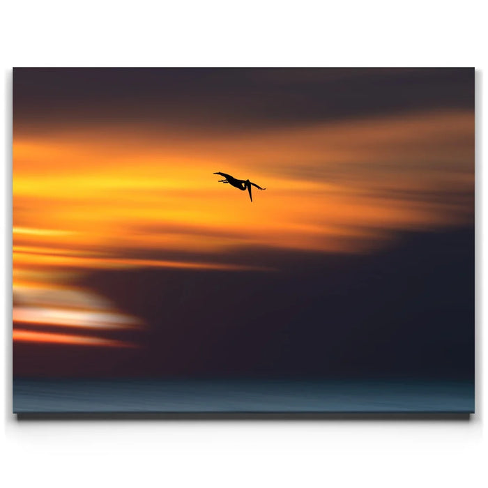 Featured image 1 for Pelican Dive