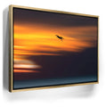 Featured image 7 for Pelican Dive