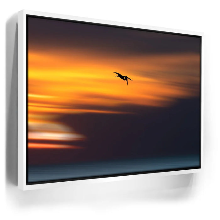 Featured image 6 for Pelican Dive