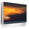 Featured image 6 for Pelican Dive