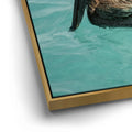 Thumbnail image 13 for Pelican in Calm Waters - La Ventana - Mexico