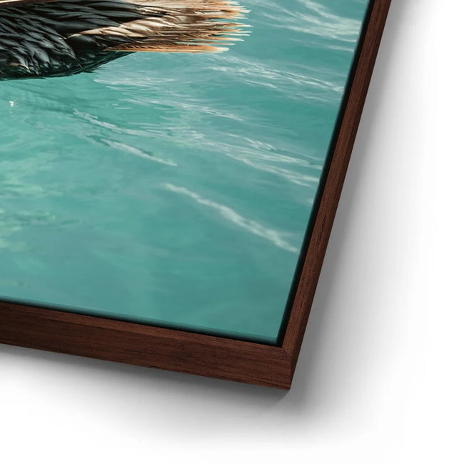 Featured image 15 for Pelican in Calm Waters - La Ventana - Mexico