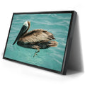 Thumbnail image 2 for Pelican in Calm Waters - La Ventana - Mexico