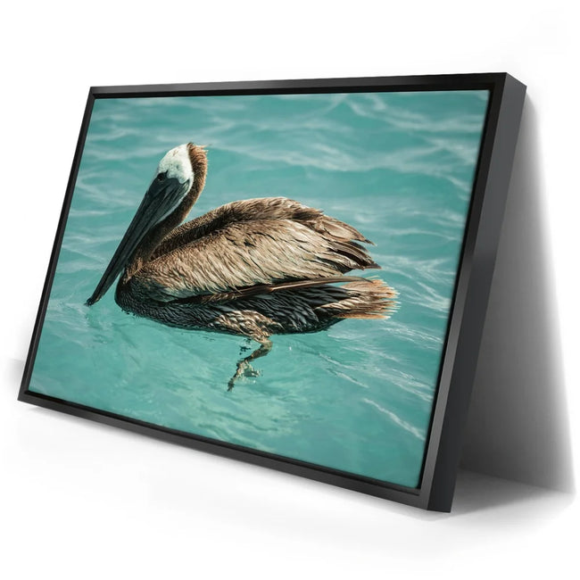 Featured image 2 for Pelican in Calm Waters - La Ventana - Mexico