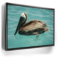 Featured image 6 for Pelican in Calm Waters - La Ventana - Mexico