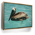 Featured image 8 for Pelican in Calm Waters - La Ventana - Mexico