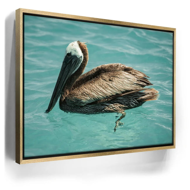 Featured image 8 for Pelican in Calm Waters - La Ventana - Mexico