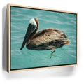 Featured image 10 for Pelican in Calm Waters - La Ventana - Mexico