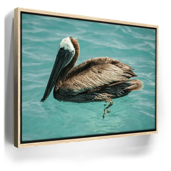 Featured image 10 for Pelican in Calm Waters - La Ventana - Mexico