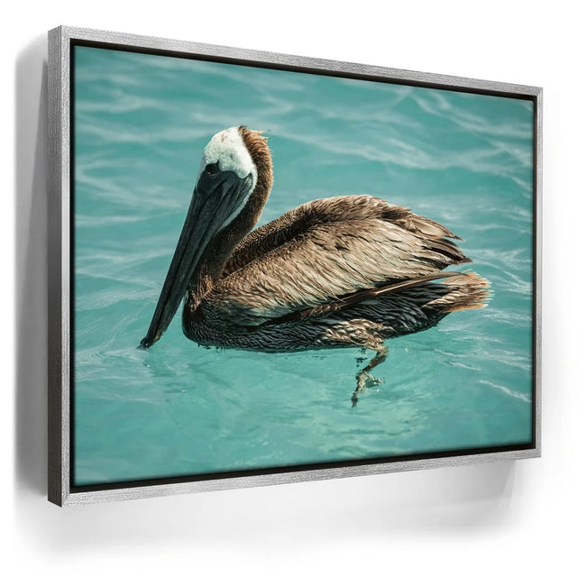 Featured image 9 for Pelican in Calm Waters - La Ventana - Mexico