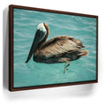 Featured image 11 for Pelican in Calm Waters - La Ventana - Mexico