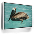 Featured image 7 for Pelican in Calm Waters - La Ventana - Mexico