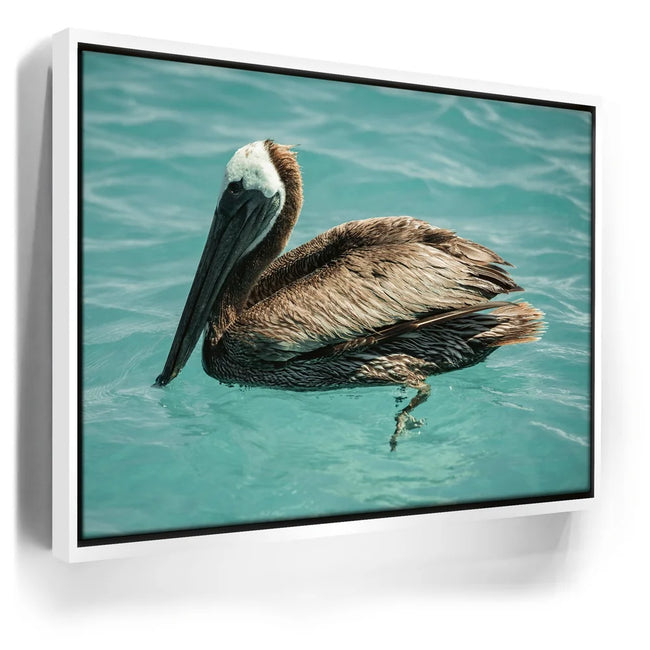Featured image 7 for Pelican in Calm Waters - La Ventana - Mexico