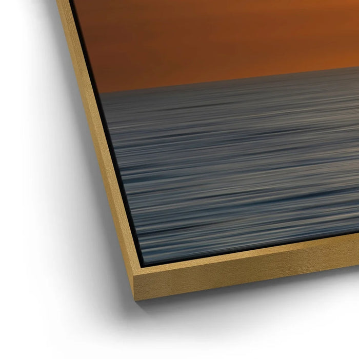 Featured image 12 for Pelicans in a Line