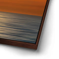 Thumbnail image 14 for Pelicans in a Line