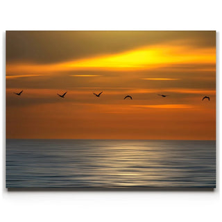 Pelicans in a Line