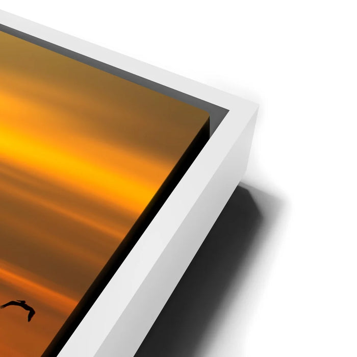 Featured image 13 for Pelicans in a Line