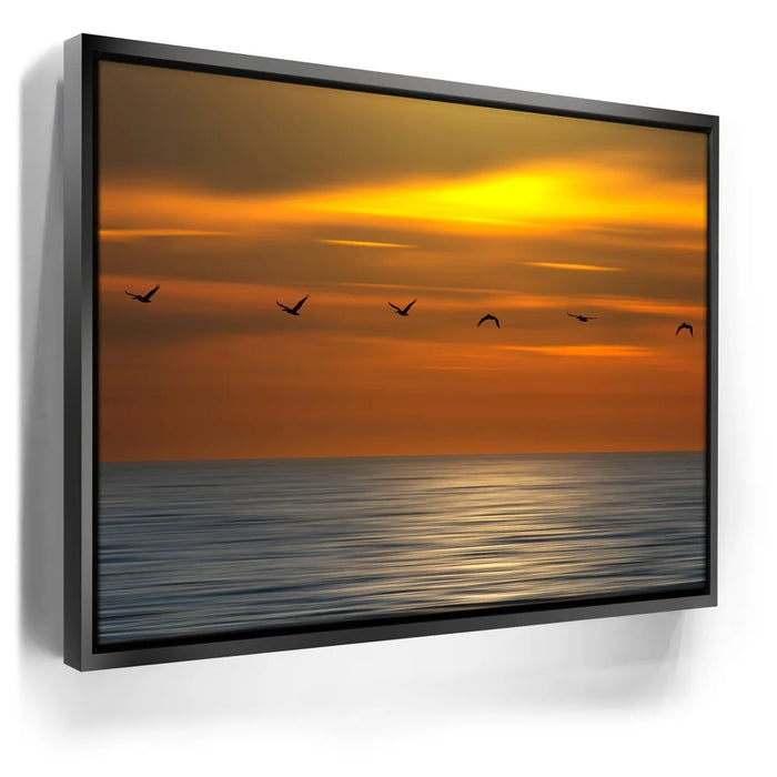 Featured image 5 for Pelicans in a Line