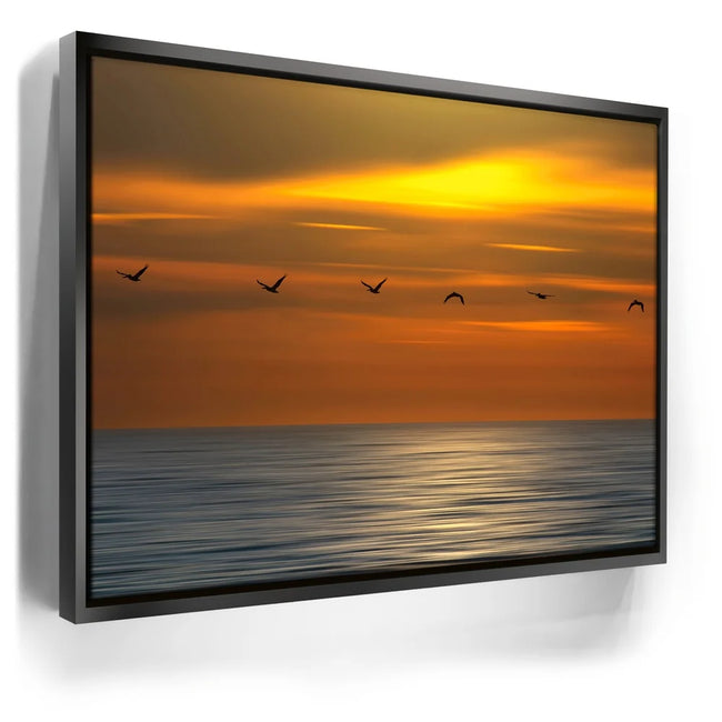 Featured image 5 for Pelicans in a Line