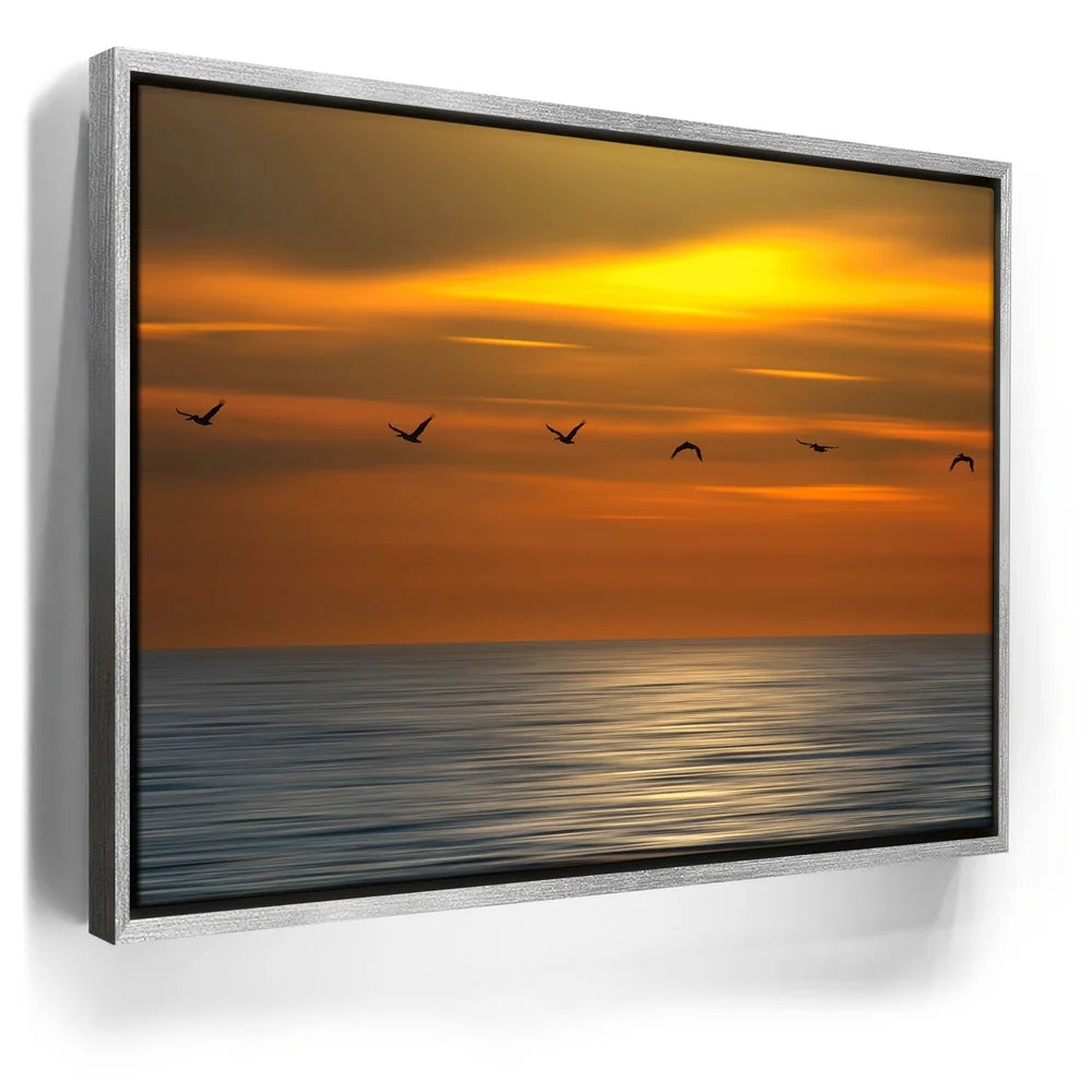 Featured image 8 for Pelicans in a Line