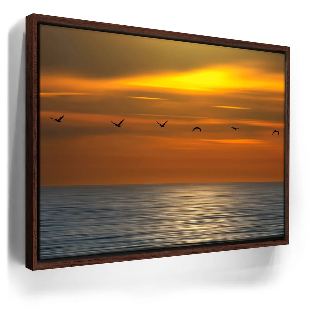Featured image 10 for Pelicans in a Line