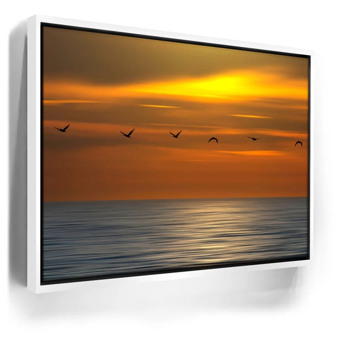 Featured image 6 for Pelicans in a Line