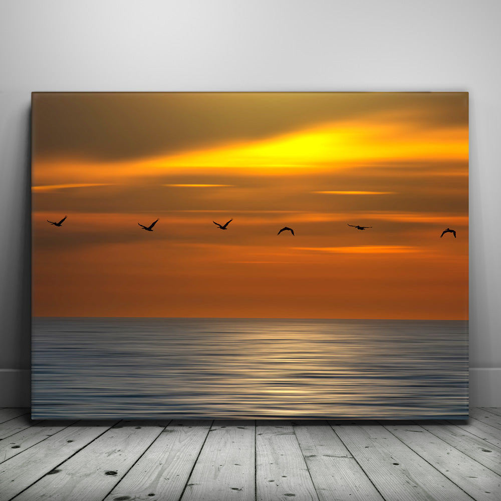 Pelicans in a Line