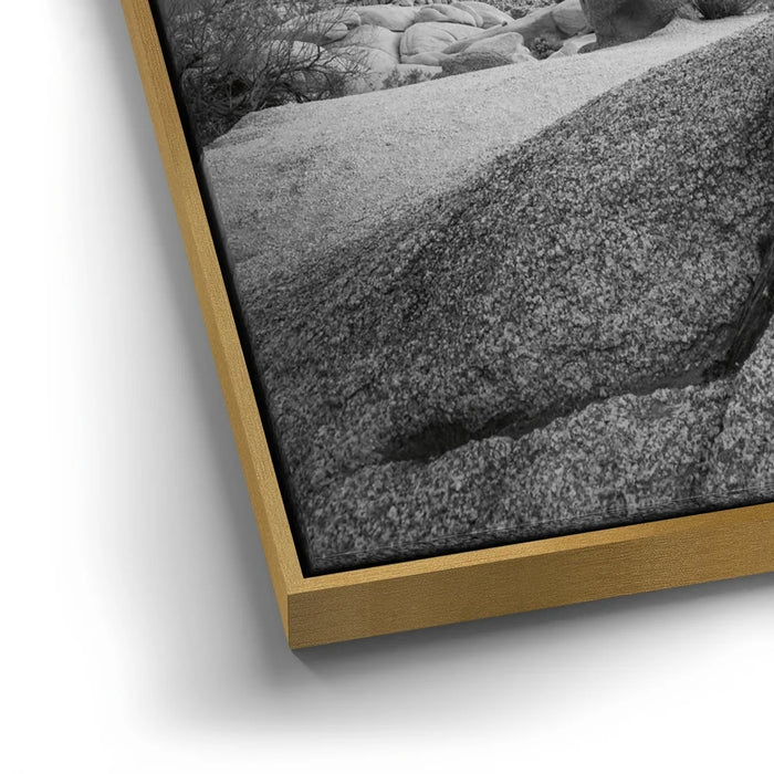 Featured image 12 for Penguin Rock