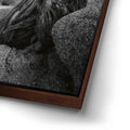 Thumbnail image 14 for Penguin Rock