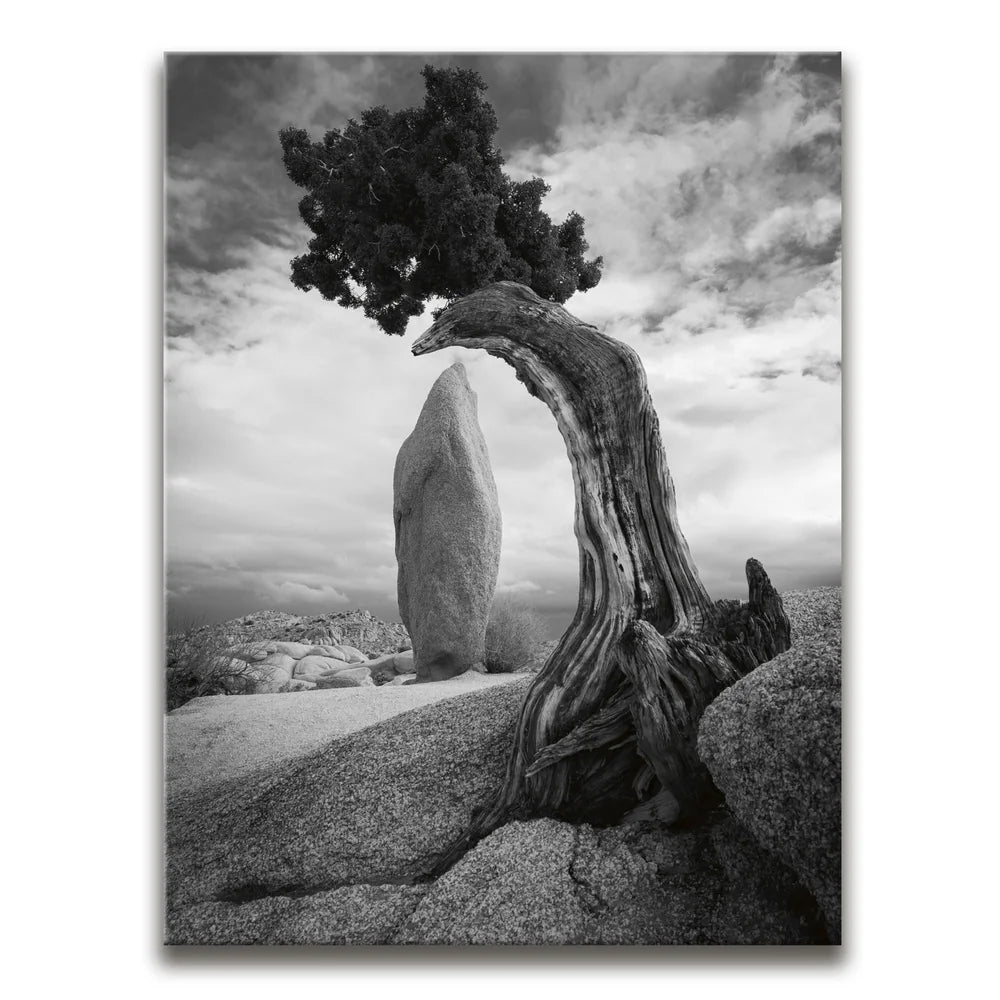 Featured image 1 for Penguin Rock