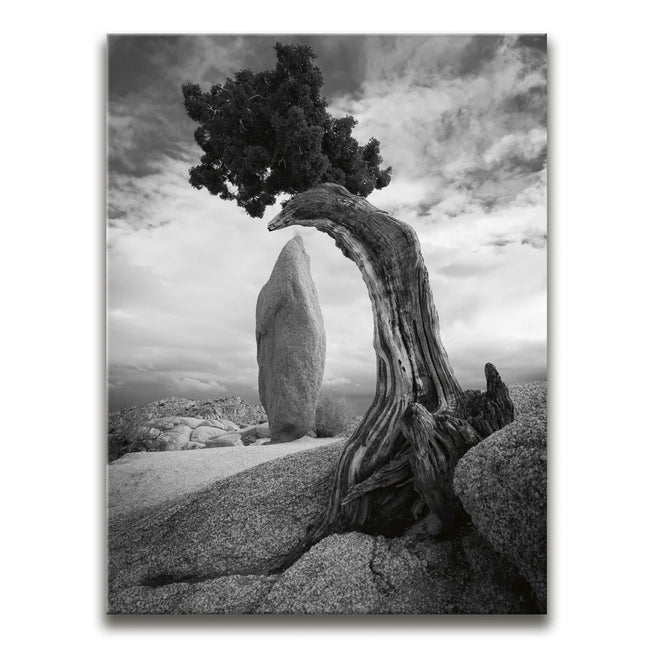 Featured image 1 for Penguin Rock