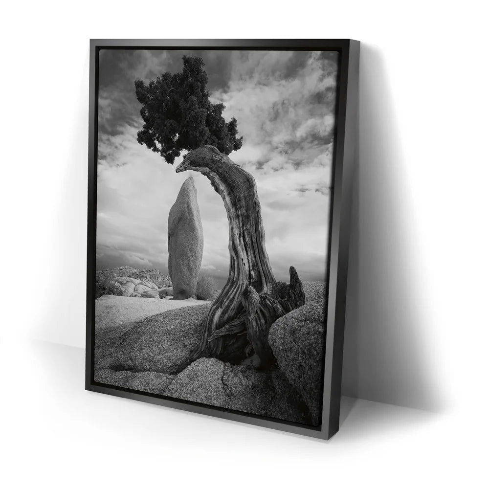 Featured image 2 for Penguin Rock