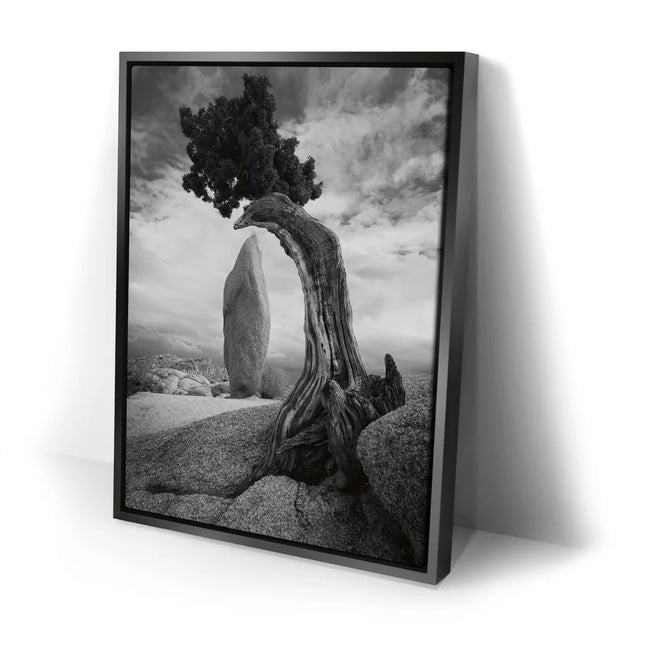 Featured image 2 for Penguin Rock