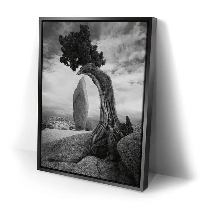 Featured image 2 for Penguin Rock