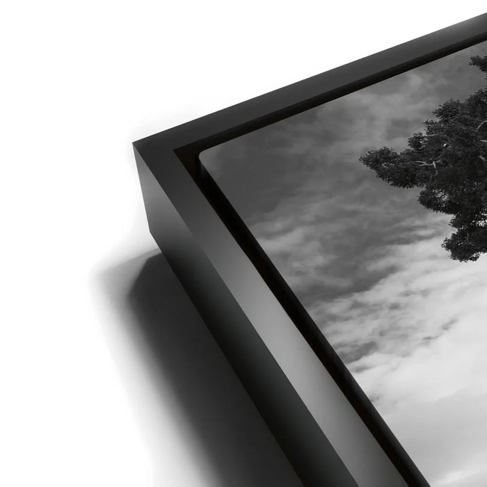 Featured image 11 for Penguin Rock