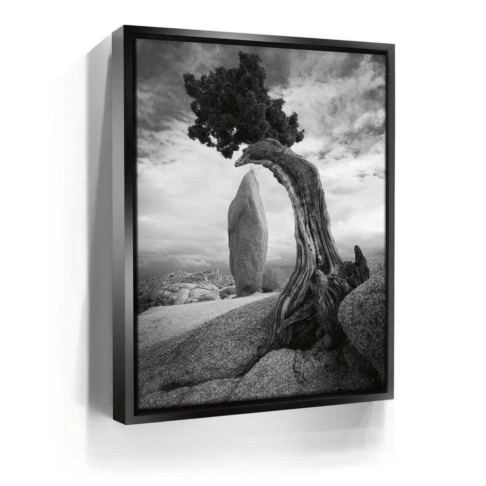Featured image 5 for Penguin Rock